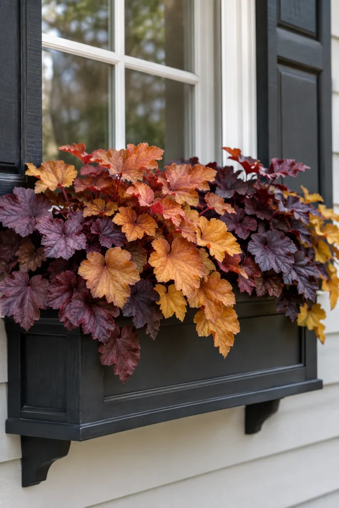 Amber and caramel heuchera leaves in a fall container