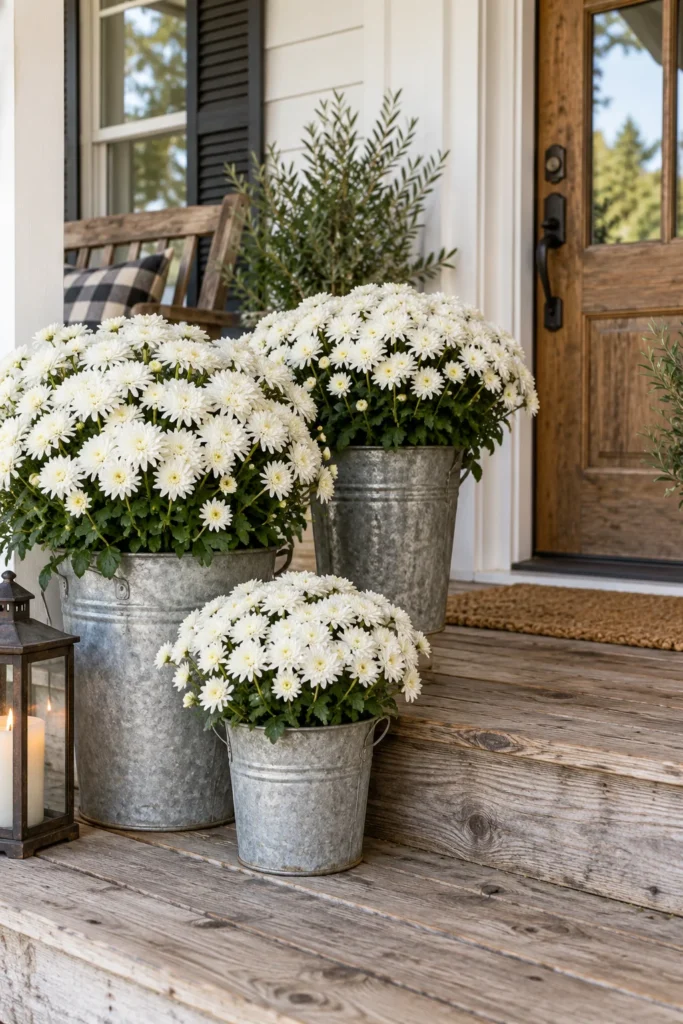 Galvanized metal buckets holding white mums on a farmhouse porch