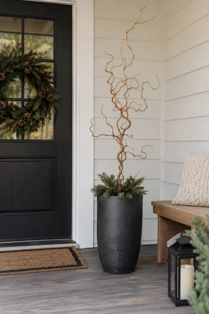 Single curly willow branch in a simple planter
